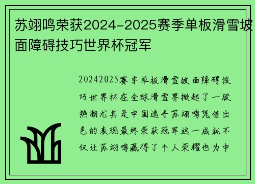 苏翊鸣荣获2024-2025赛季单板滑雪坡面障碍技巧世界杯冠军